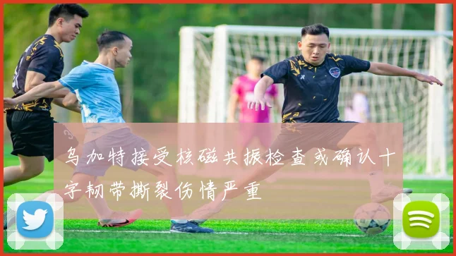 乌加特接受核磁共振检查或确认十字韧带撕裂伤情严重