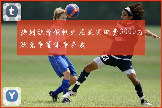 热刺欲降低帕利尼亚买断费3000万欧竞争葡体争夺战
