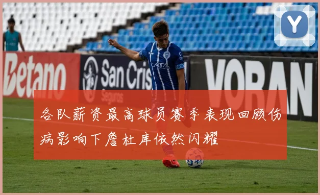 各队薪资最高球员赛季表现回顾伤病影响下詹杜库依然闪耀